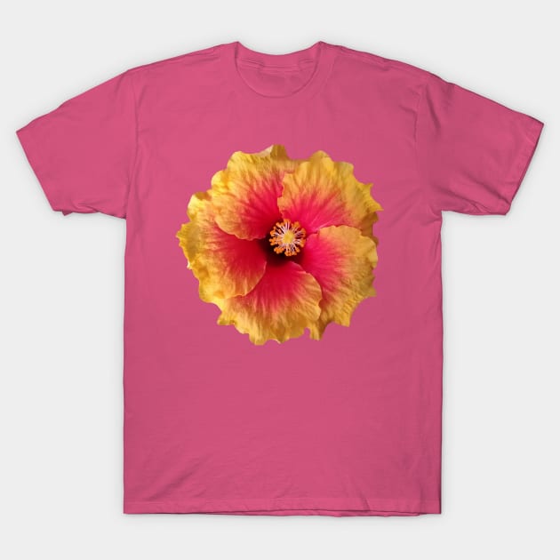 yellow red flower, hibiscus, flowers, blossom, T-Shirt by rh_naturestyles